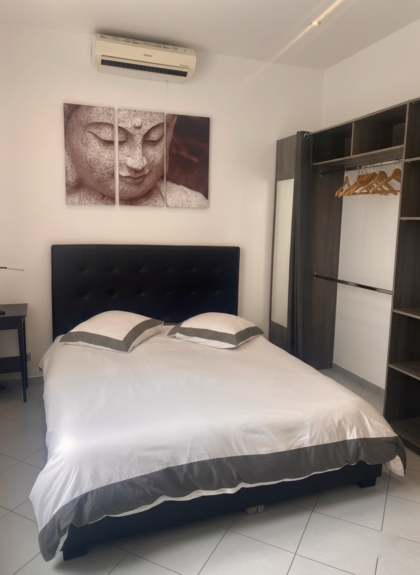 IMMEUBLE DE RAPPORT / VILLA - MARCHE FORVILLE - CANNES - 7